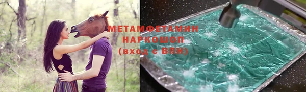 индика Алексин