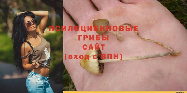 бошки Алзамай