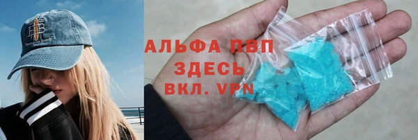 индика Алексин