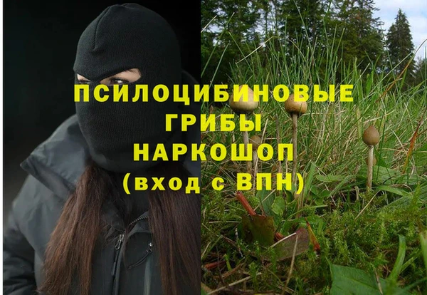бошки Алзамай