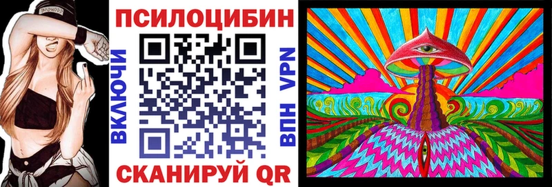 Галлюциногенные грибы Cubensis  Купить закладки  Томилино 
